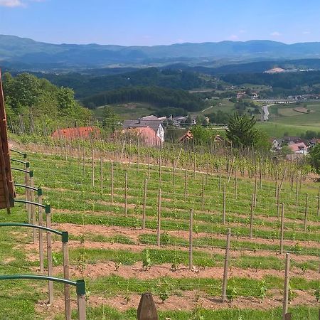 Vineyard Cottage Lustek Νόβο Μέστο Εξωτερικό φωτογραφία