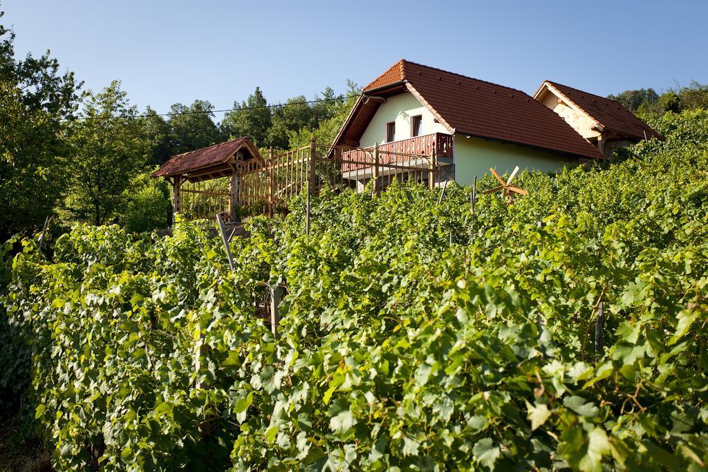 Vineyard Cottage Lustek Νόβο Μέστο Εξωτερικό φωτογραφία